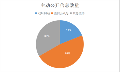 吉隆县数据和政务服务局发展规划概览